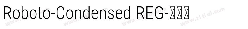 Roboto-Condensed REG字体转换